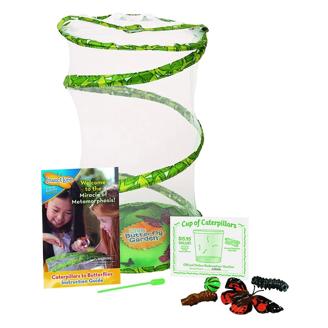 Insect Lore Butterfly Garden Watch Metamorphosis In Action With The