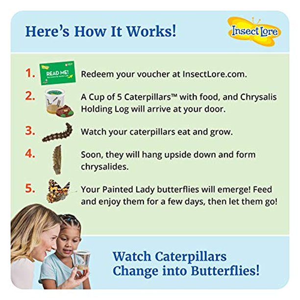 Insect Lore Original Butterfly Garden